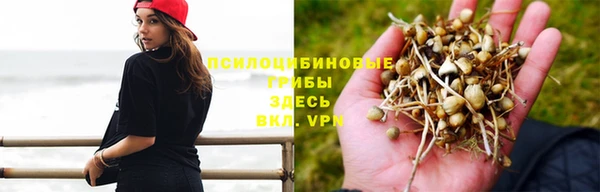 бутират Новодвинск