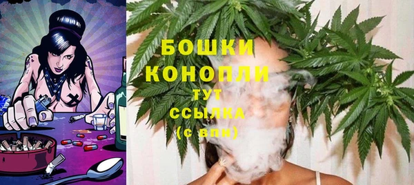 трава Новокубанск