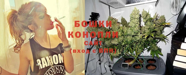 трава Новокубанск