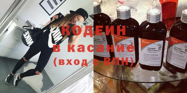 индика Корсаков