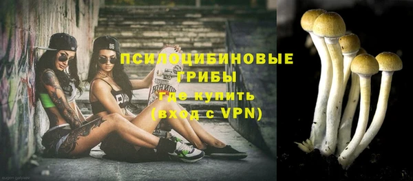 прущая мука Новозыбков